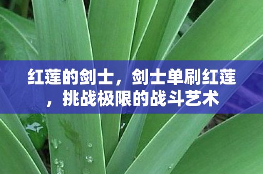红莲的剑士，剑士单刷红莲，挑战极限的战斗艺术