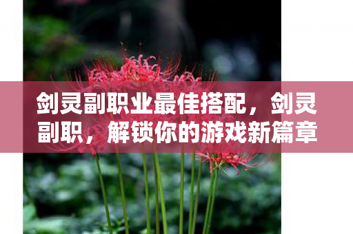 剑灵副职业最佳搭配，剑灵副职，解锁你的游戏新篇章