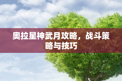 奥拉星神武月攻略，战斗策略与技巧