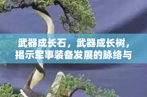武器成长石，武器成长树，揭示军事装备发展的脉络与未来趋势