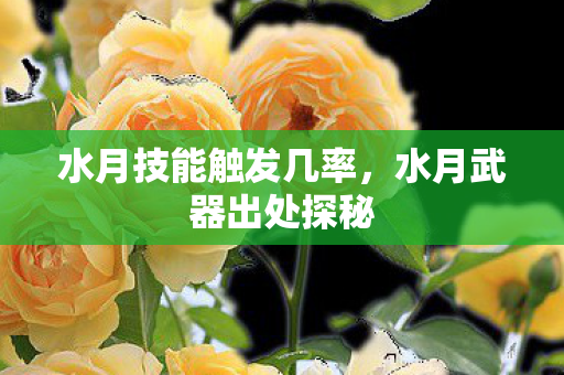 水月技能触发几率，水月武器出处探秘