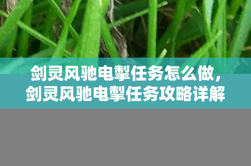 剑灵风驰电掣任务怎么做，剑灵风驰电掣任务攻略详解