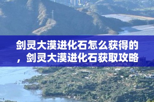 剑灵大漠进化石怎么获得的，剑灵大漠进化石获取攻略，一步步带你走向巅峰