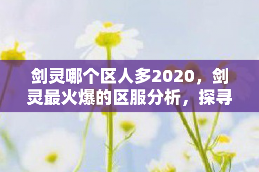 剑灵哪个区人多2020，剑灵最火爆的区服分析，探寻玩家人数最多的区域
