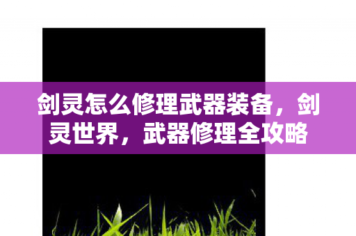 剑灵怎么修理武器装备，剑灵世界，武器修理全攻略