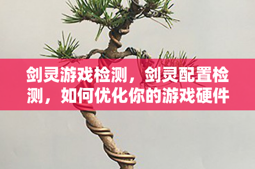 剑灵游戏检测，剑灵配置检测，如何优化你的游戏硬件设置？