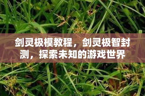 剑灵极模教程，剑灵极智封测，探索未知的游戏世界