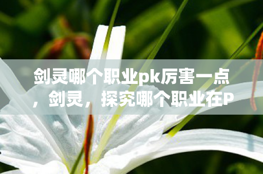 剑灵哪个职业pk厉害一点，剑灵，探究哪个职业在PK中独领风骚