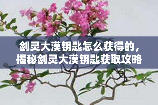 剑灵大漠钥匙怎么获得的，揭秘剑灵大漠钥匙获取攻略，轻松解锁珍贵奖励！