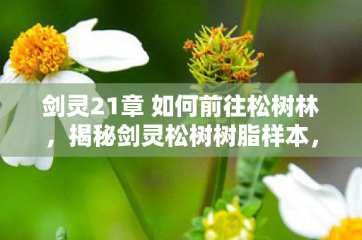 剑灵21章 如何前往松树林，揭秘剑灵松树树脂样本，探寻神秘物质的独特魅力