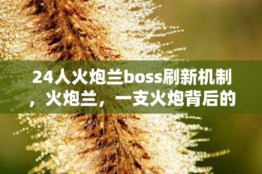 24人火炮兰boss刷新机制，火炮兰，一支火炮背后的故事与荣耀