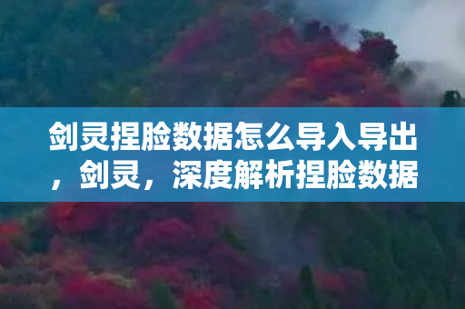 剑灵捏脸数据怎么导入导出，剑灵，深度解析捏脸数据，打造独一无二的角色形象