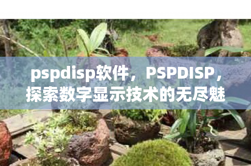 pspdisp软件，PSPDISP，探索数字显示技术的无尽魅力