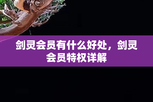 剑灵会员有什么好处，剑灵会员特权详解