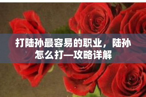 打陆孙最容易的职业，陆孙怎么打—攻略详解