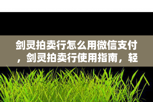 剑灵拍卖行怎么用微信支付，剑灵拍卖行使用指南，轻松掌握买卖交易技巧