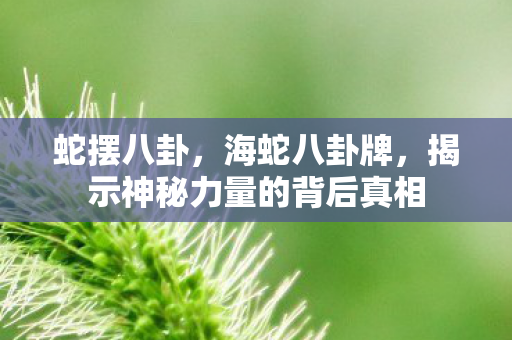 蛇摆八卦，海蛇八卦牌，揭示神秘力量的背后真相