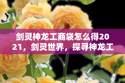 剑灵神龙工商袋怎么得2021，剑灵世界，探寻神龙工商袋的神秘获取之道