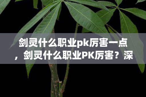 剑灵什么职业pk厉害一点，剑灵什么职业PK厉害？深度解析各职业优势，助你挑选最强PK角色