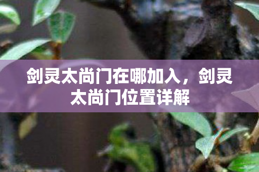 剑灵太尚门在哪加入，剑灵太尚门位置详解