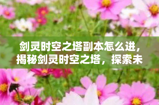 剑灵时空之塔副本怎么进，揭秘剑灵时空之塔，探索未知世界的奇幻之旅