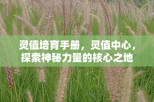 灵值培育手册，灵值中心，探索神秘力量的核心之地