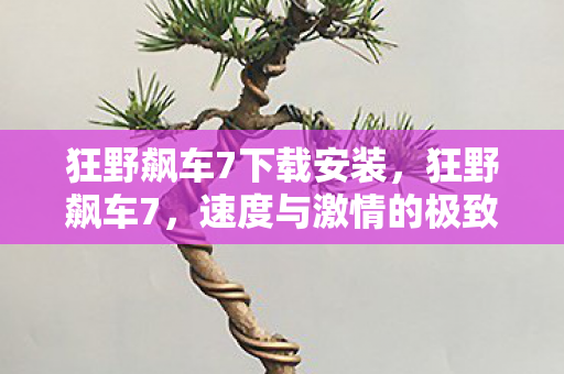 狂野飙车7下载安装，狂野飙车7，速度与激情的极致体验下载攻略