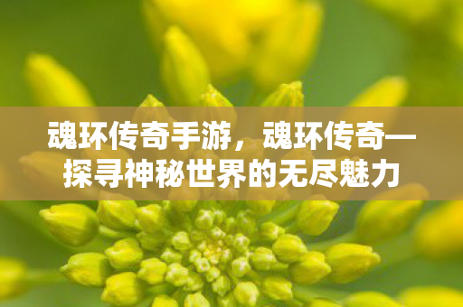 魂环传奇手游，魂环传奇—探寻神秘世界的无尽魅力