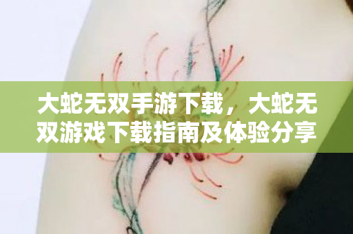大蛇无双手游下载，大蛇无双游戏下载指南及体验分享