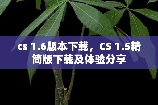 cs 1.6版本下载，CS 1.5精简版下载及体验分享