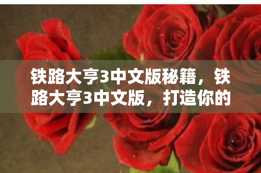 铁路大亨3中文版秘籍，铁路大亨3中文版，打造你的铁路帝国