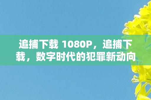 追捕下载 1080P，追捕下载，数字时代的犯罪新动向