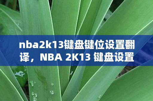 nba2k13键盘键位设置翻译，NBA 2K13 键盘设置翻译详解