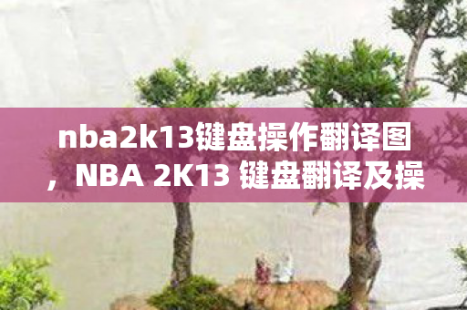 nba2k13键盘操作翻译图，NBA 2K13 键盘翻译及操作指南