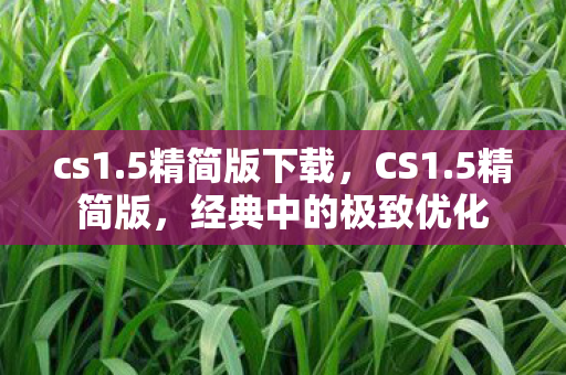 cs1.5精简版下载，CS1.5精简版，经典中的极致优化