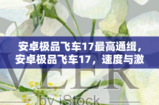 安卓极品飞车17最高通缉，安卓极品飞车17，速度与激情的完美融合