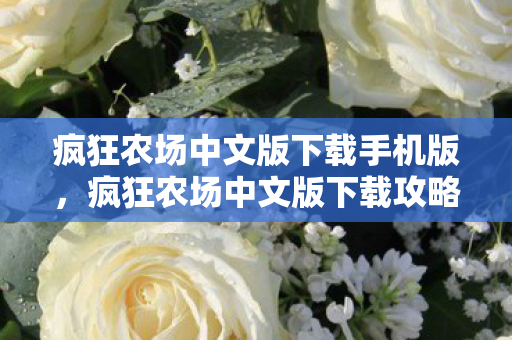 疯狂农场中文版下载手机版，疯狂农场中文版下载攻略及游戏介绍