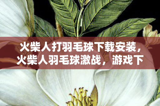 火柴人打羽毛球下载安装，火柴人羽毛球激战，游戏下载与体验分享