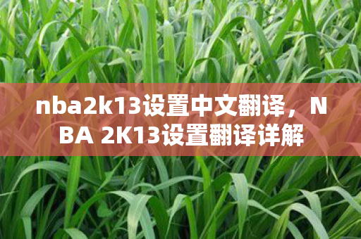 nba2k13设置中文翻译，NBA 2K13设置翻译详解