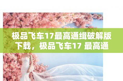 极品飞车17最高通缉破解版下载，极品飞车17 最高通缉，速度与激情的极致体验