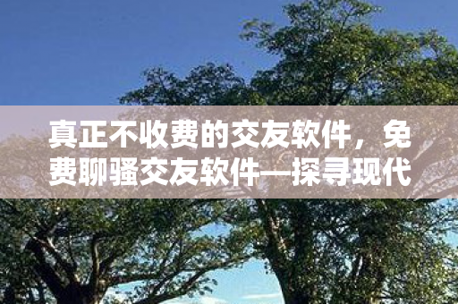 真正不收费的交友软件，免费聊骚交友软件—探寻现代社交新领域