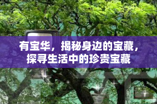 有宝华，揭秘身边的宝藏，探寻生活中的珍贵宝藏