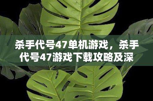 杀手代号47单机游戏，杀手代号47游戏下载攻略及深度体验分享