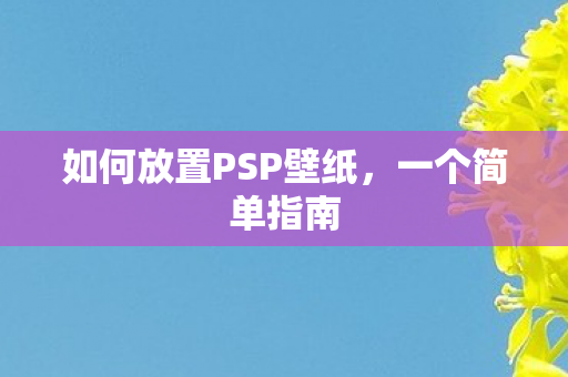 如何放置PSP壁纸，一个简单指南