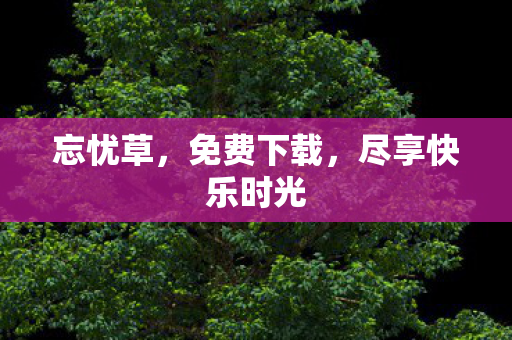 忘忧草，免费下载，尽享快乐时光