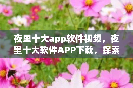 夜里十大app软件视频，夜里十大软件APP下载，探索夜间娱乐的新领域