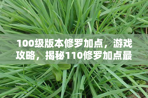 100级版本修罗加点，游戏攻略，揭秘110修罗加点最佳策略