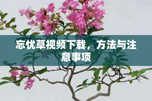 忘忧草视频下载，方法与注意事项