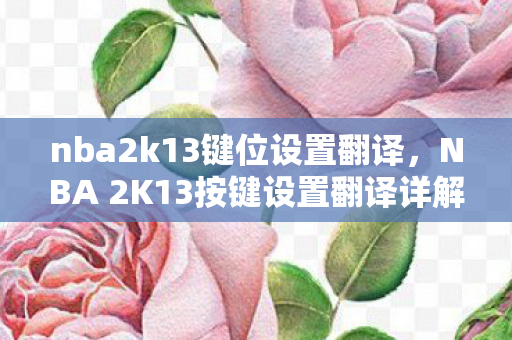 nba2k13键位设置翻译，NBA 2K13按键设置翻译详解