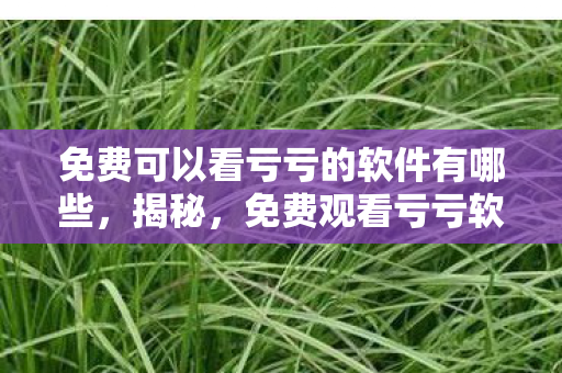 免费可以看亏亏的软件有哪些，揭秘，免费观看亏亏软件背后的真相